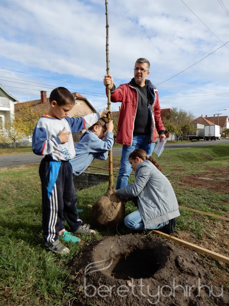 Közösségi faültetés Berettyóújfaluban 40